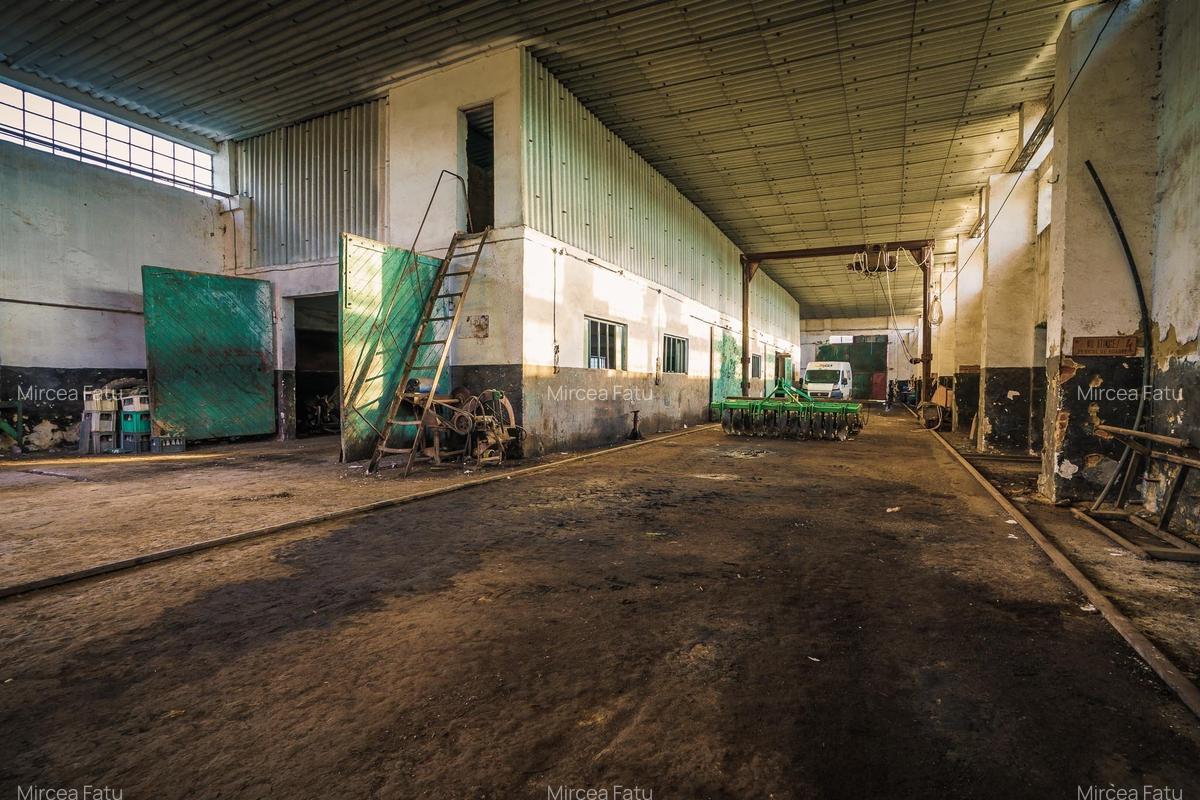 Inchiriere hala pentru depozitare sau productie  – Poarta Alba - 5