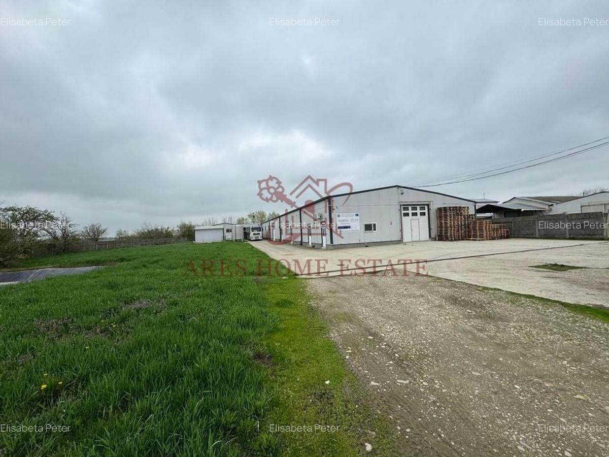 Spațiu industrial, 1200 mp în Bucovăț (Remetea Mare) - 1