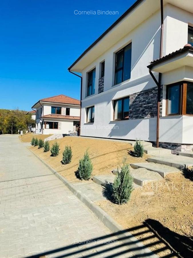 Ansamblu de 3 case la vanzare  in Chinteni! - 11
