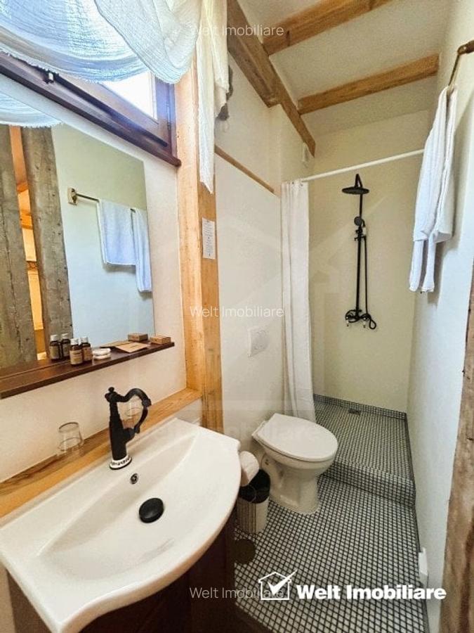 Oportunitate de business, zona ultracentrala, 8 camere - 21