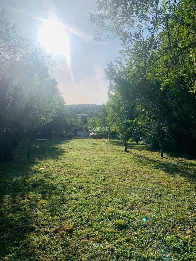 Casa de vanzare zona superba si linistita - 4 Casa de vanzare zona superba si linistita - 4