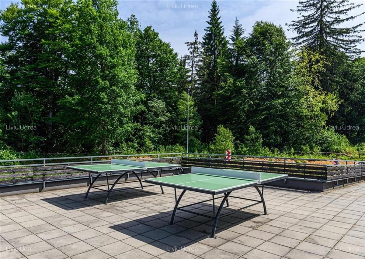 Apartament cu 2 camere decomandat, mobilat în Poiana Brașov - 19