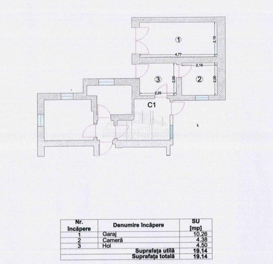 Villa Belle Epoque Cu Architectura Deosebita si Multiple Posibilitati, Cotroceni - 6