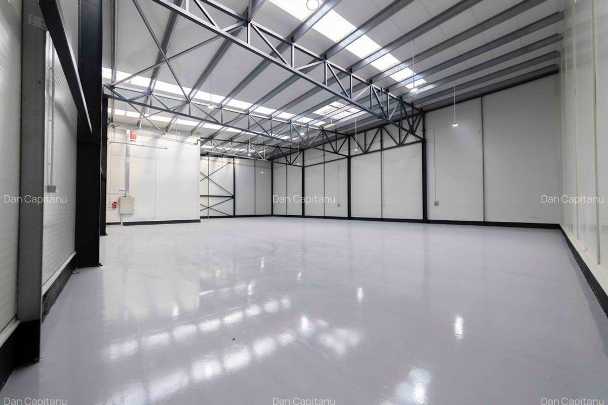 Zona Drumul Intre Tarlale - hale noi 600mp - 7