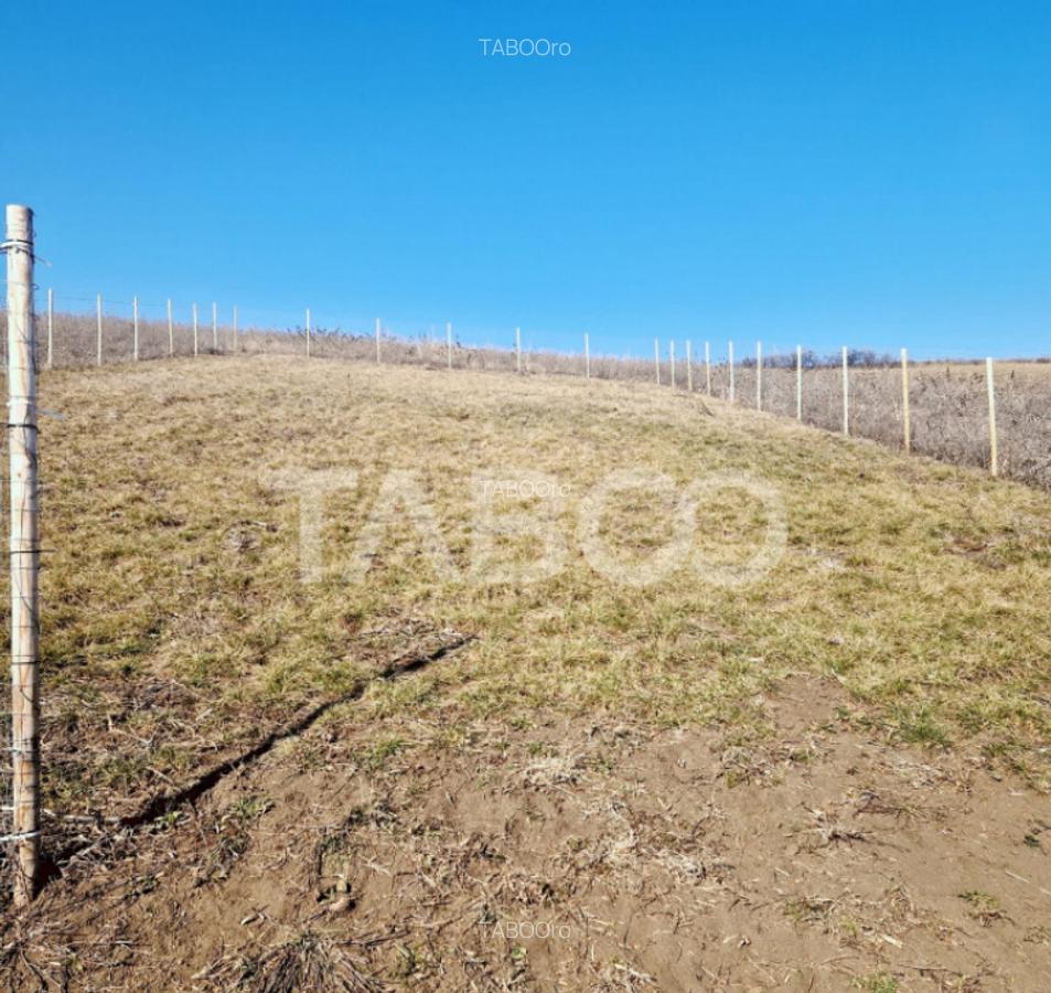 Teren de vanzare intravilan priveliste deosebita 508 mp Sura - 1