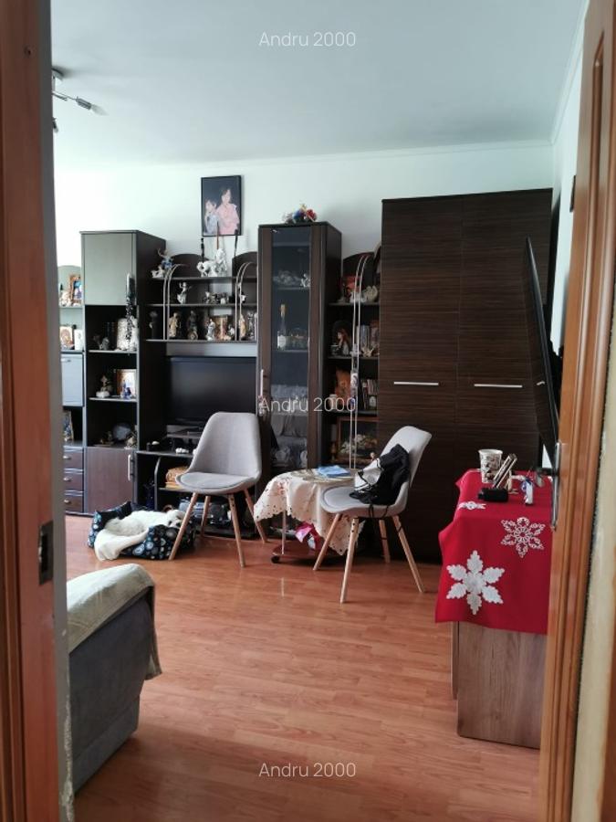 Apartament 2 camere Sura Mare Nr.1 - 4
