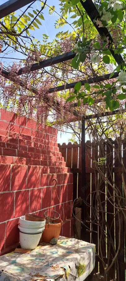 Particular vand casa Adunatii Copaceni - 8