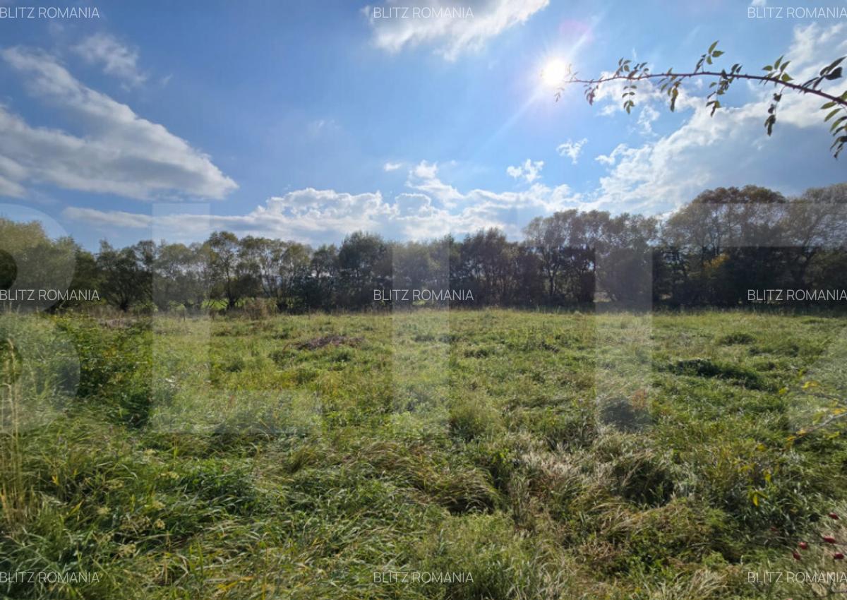 Teren intravilan 1200mp in zona Domeniul regilor - 3