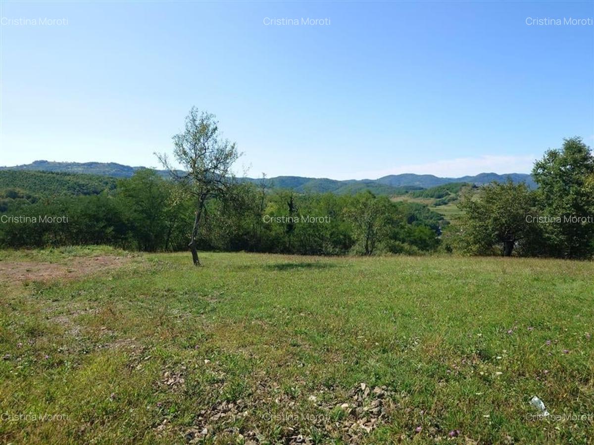 Teren intravilan 8757 mp cu potential turistic si acces direct la E79 - 3