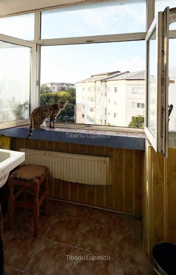 Apartament 2 camere, zona Nord - 7