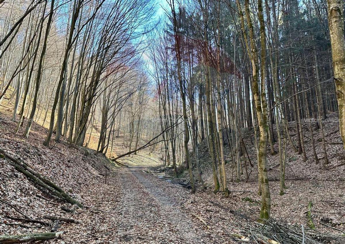 Teren de vanzare 53,723mp Codlea / Nord-Vest - 10