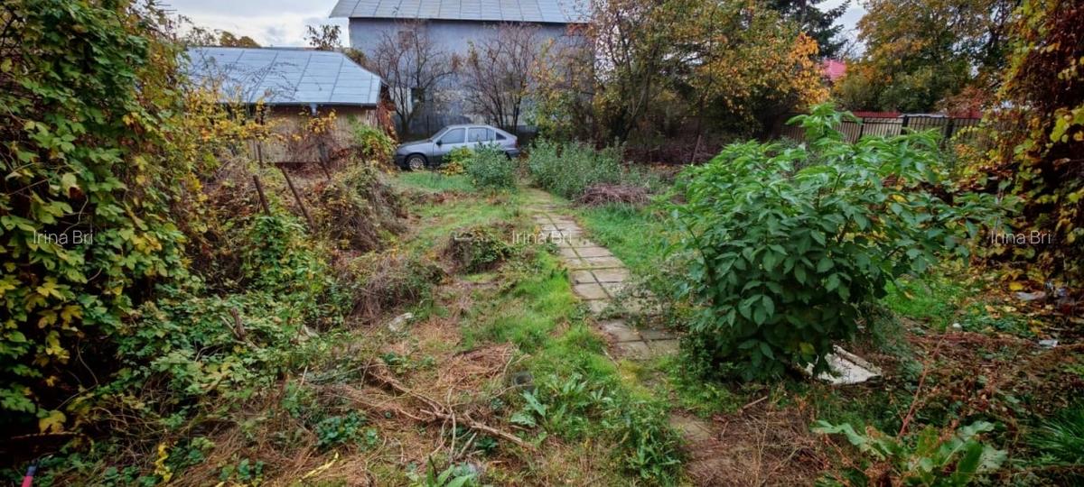 Casa locuibila cu 3 camere, 1700 mp teren deschidere 30 m, DOMNESTI - 3