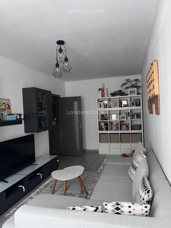 Apartament 2 camer,mobilat si utilat,zona Avram Iancu - 12