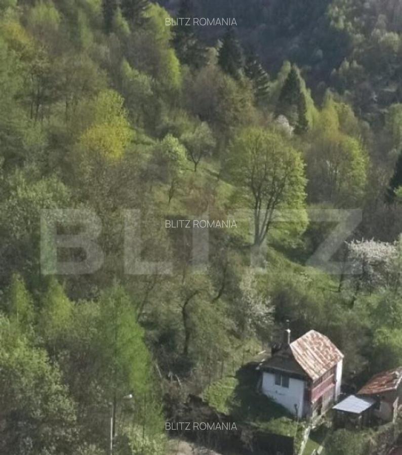 Casa 3 camere + teren 345 mp Schei, Bra?ov - 5