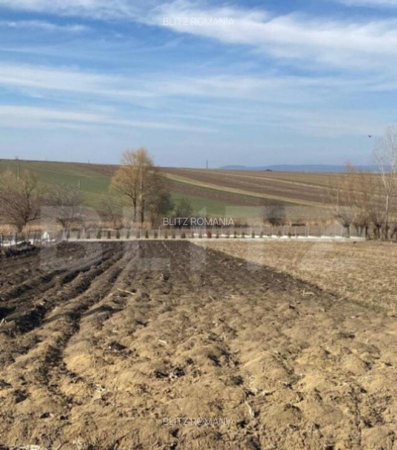 Teren intravilan, 2600 mp, Bosanci - 2