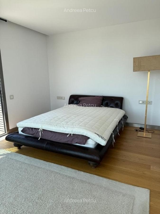 Apartament cu 4 camere decomandat, mobilat în Kiseleff - 14