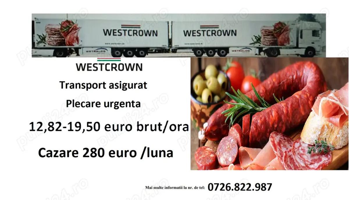 Westcrown angajeaza personal - 4