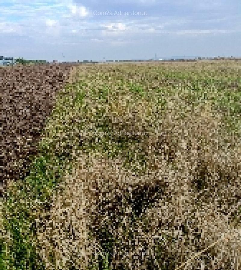 Teren 7700mp Lazuri, Dambovi?a - 4