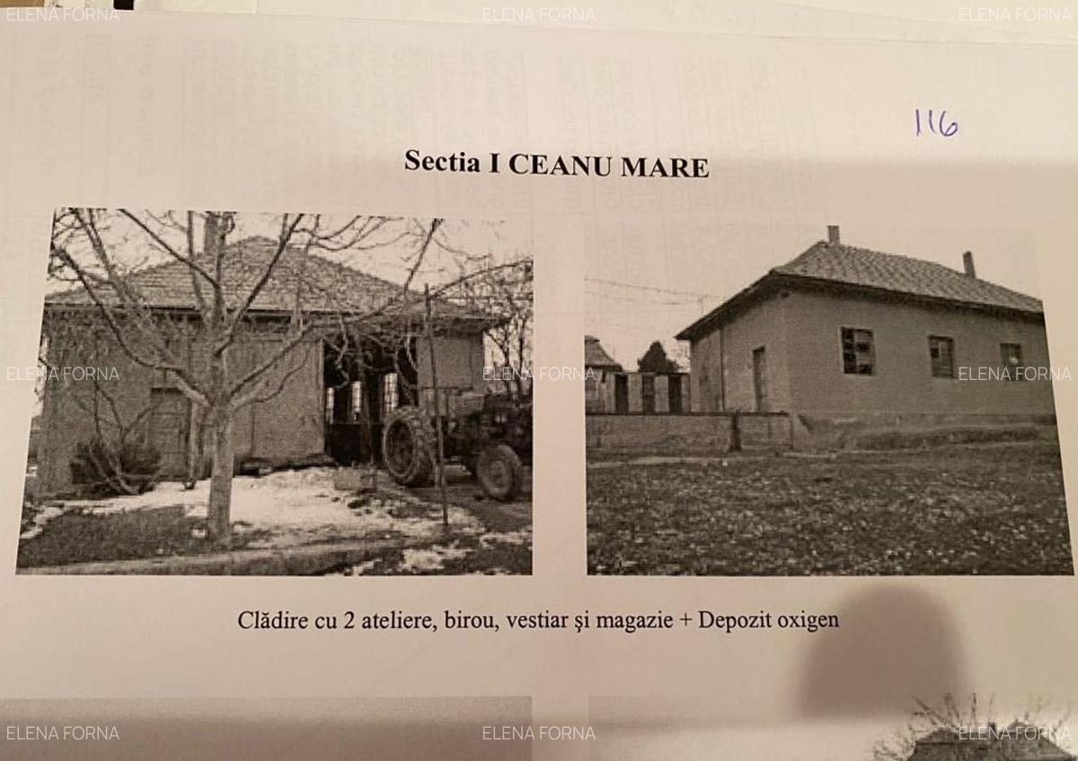 Teren Construcții intravilan de 8090 mp, în Ceanu Mare - 1