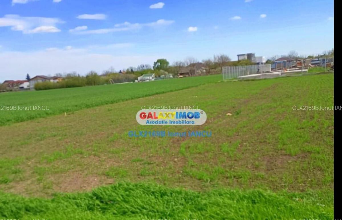 Teren TUNARI Straja - 4