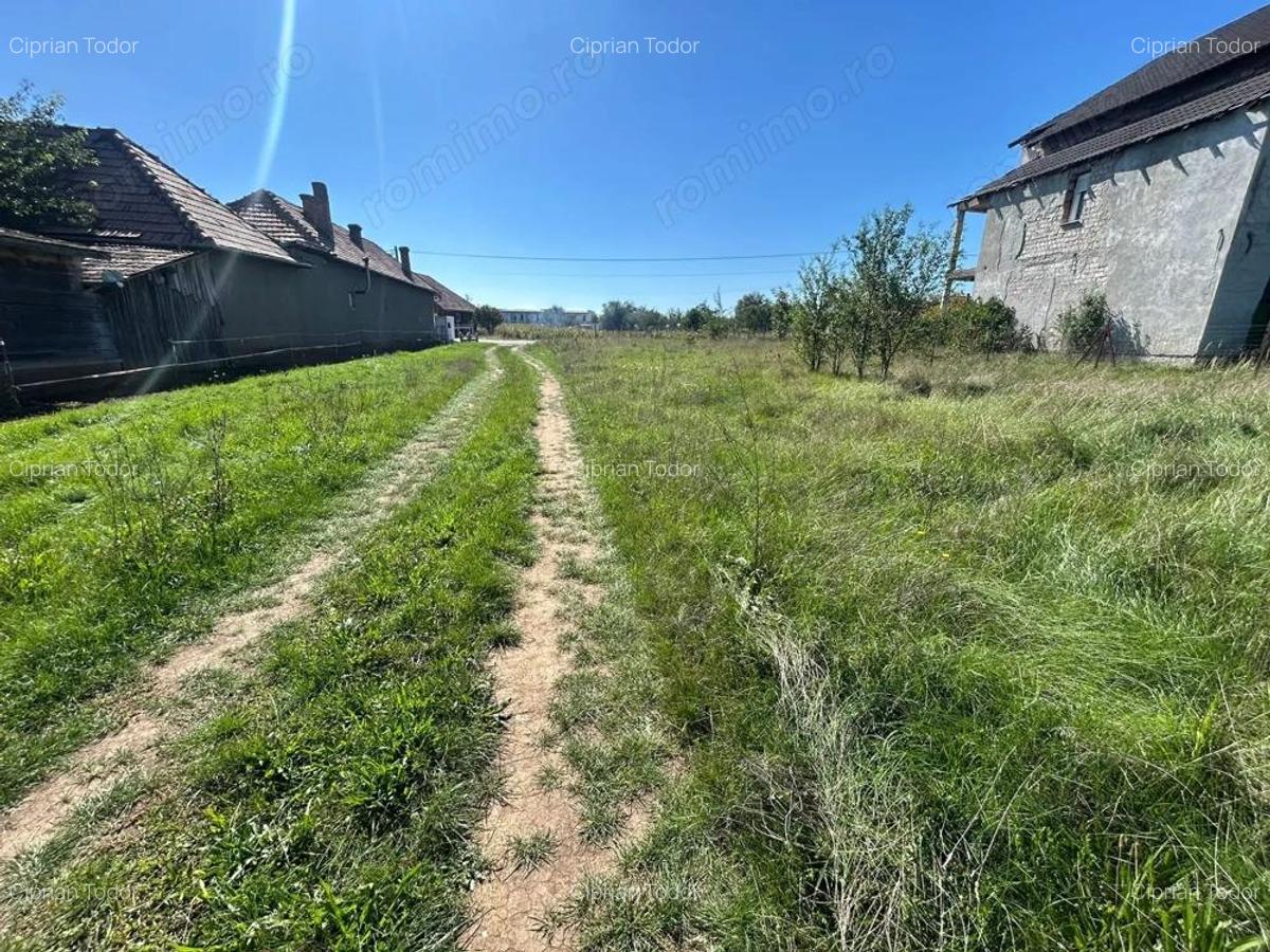 Teren intravilan, 5700mp - Teius - 3