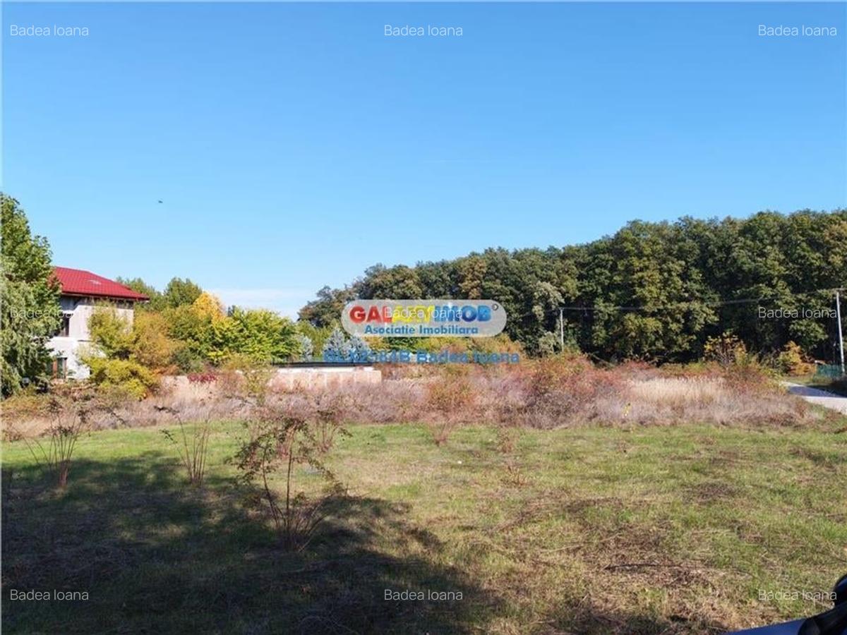 Teren intravilan 471 mp - str Timpului - Corbeanca - 7