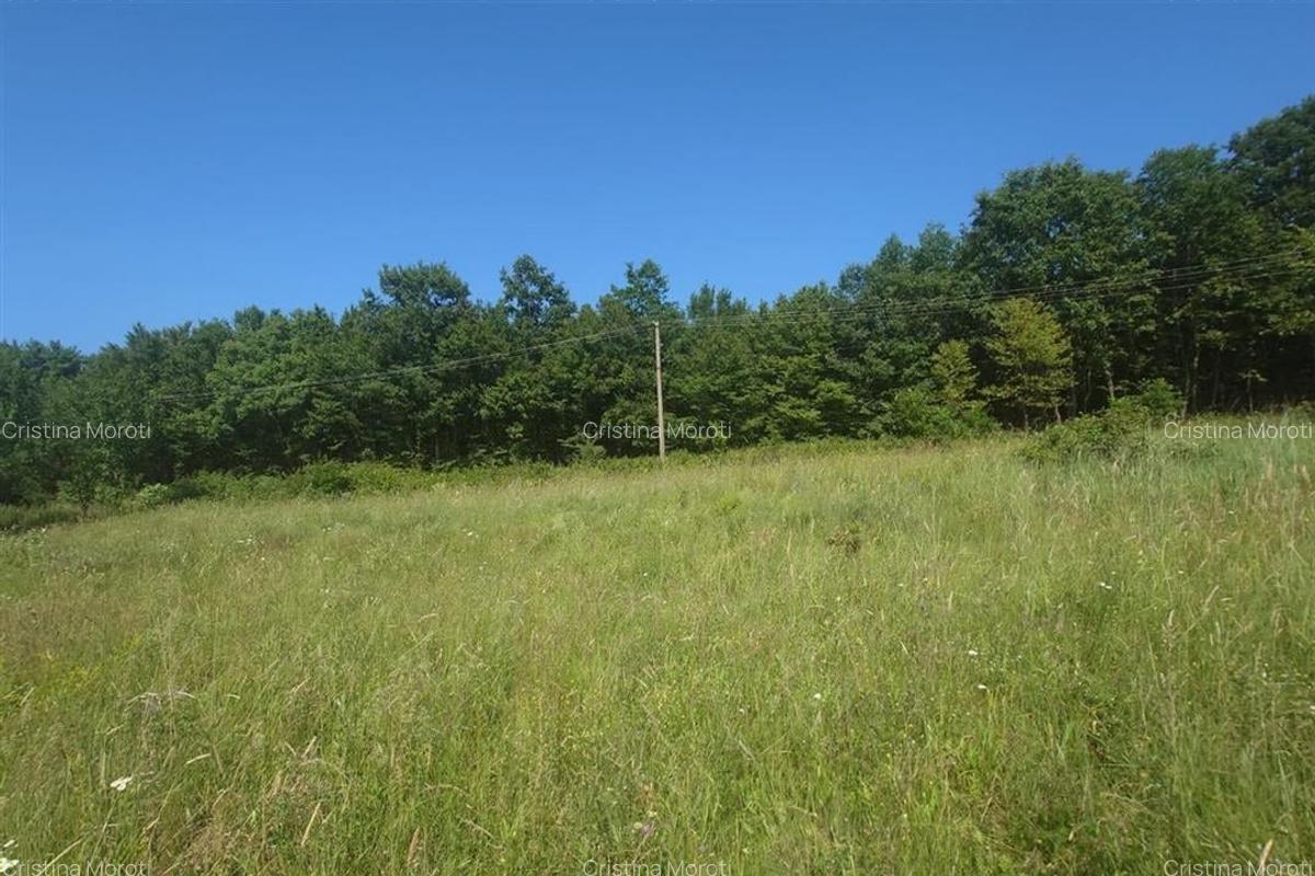 Teren intravilan de vanzare  in Luncoiu de Jos, sat Luncoiu de Sus, 3000 mp - 9