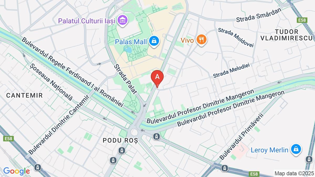 Spatiu Comercial Iași zona Palas - 1