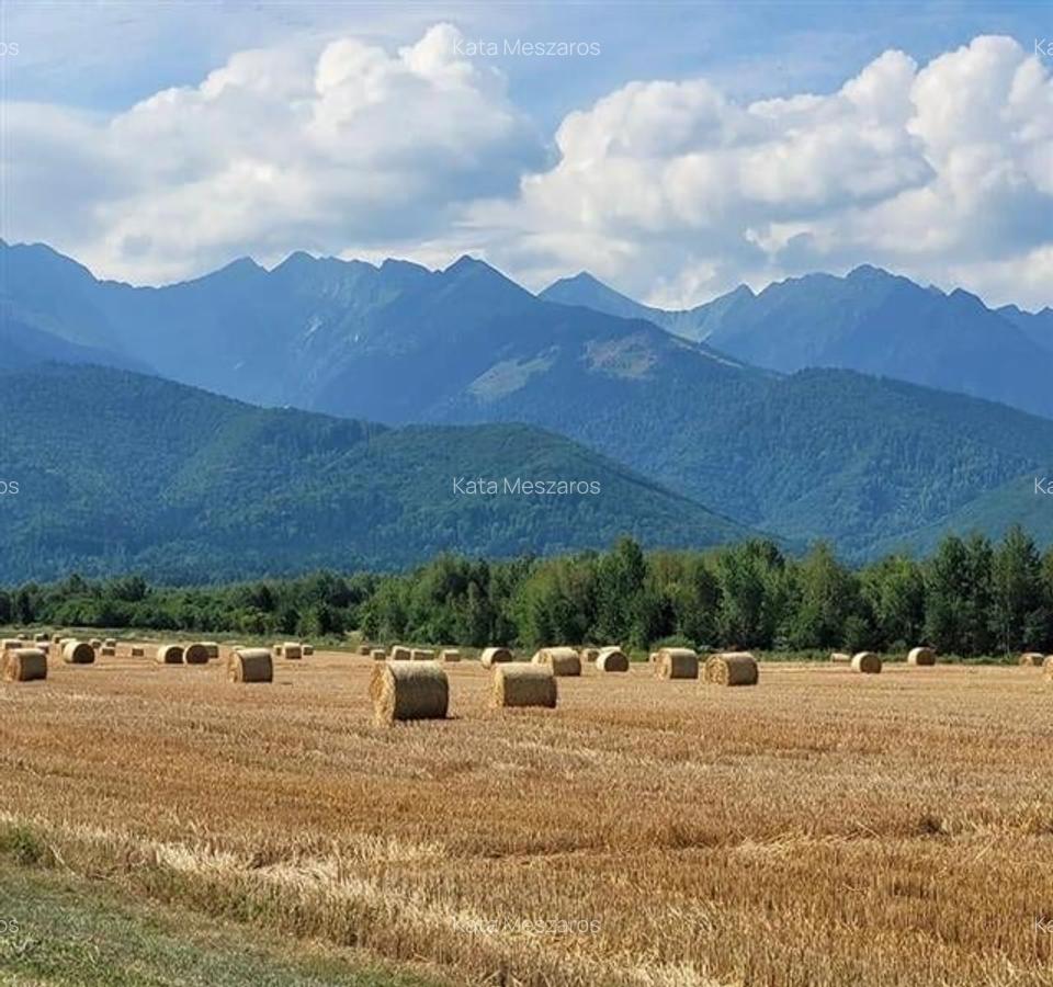 FILM! Resedinte montane,mobilate,echipate, jacuzzi,piscina,pretios areal,Sambata - 25