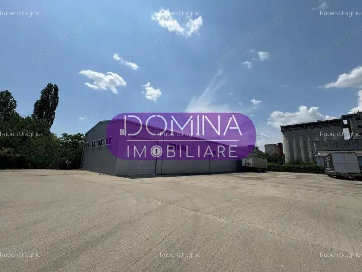 Vanzare complex industrial multifunc?ional pozi?ie strategica, Targu Jiu - 6