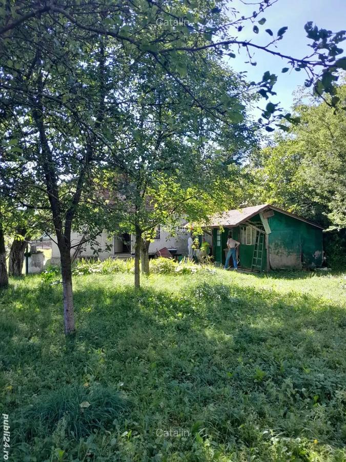 Casa Breaza central cu un mare cire? alb pentru dulcea?a! - 4