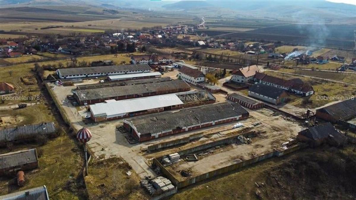 FILM! Complex agrozootehnic cu traditie, echipat + pretios potential multiplu - 16
