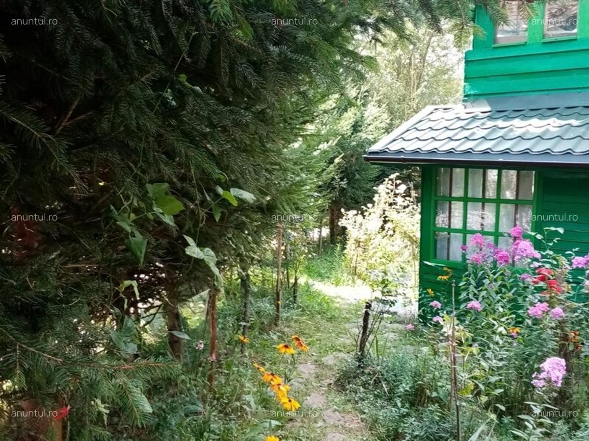 Valea Doftanei Tesila, Negrasi - 2