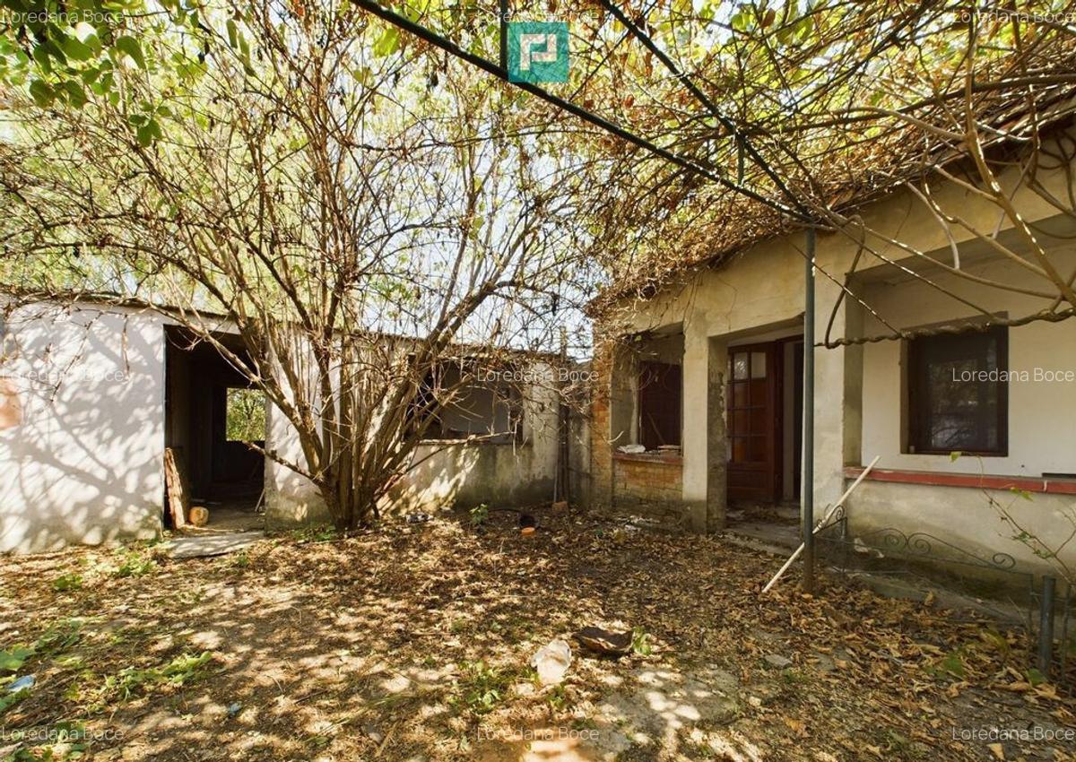 Casa batraneasca in Sustra, Timis - 5