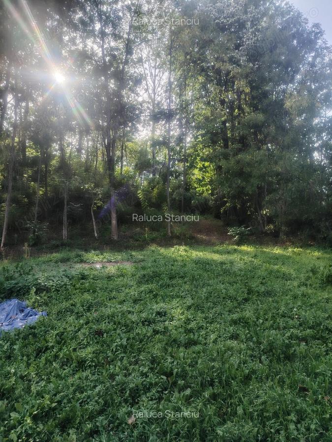 Casa boiereasca vanzare la Urseiu, Dambovita - 8