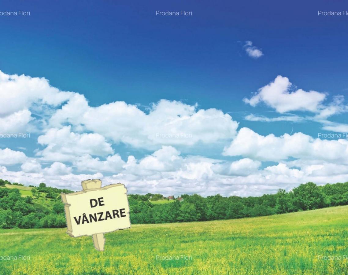 Teren 1.800mp Jilava-Depozitele Petrom - 1