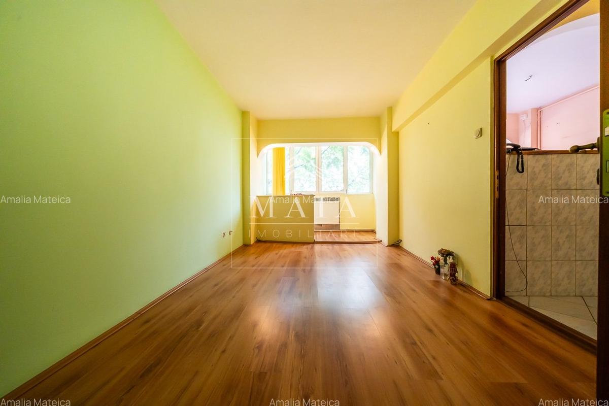 Apartament 2 camere, etaj 1, pivnita, Siretului - Calea Dumbravii - 5