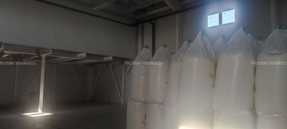 Hala zona de nord Buftea - 6