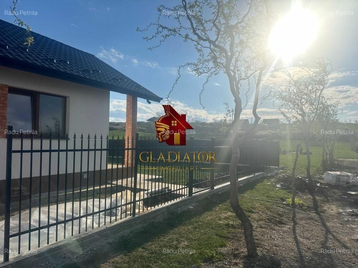 Casa plan parter deosebita, Lunca Cetatuii Ciurea, la asfalt, zona vis - 5