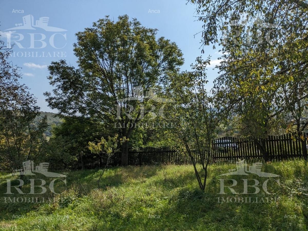 Teren 4873 mp intravilan cu Casa in Moldovenesti (Pietroasa) jud Cluj - 2