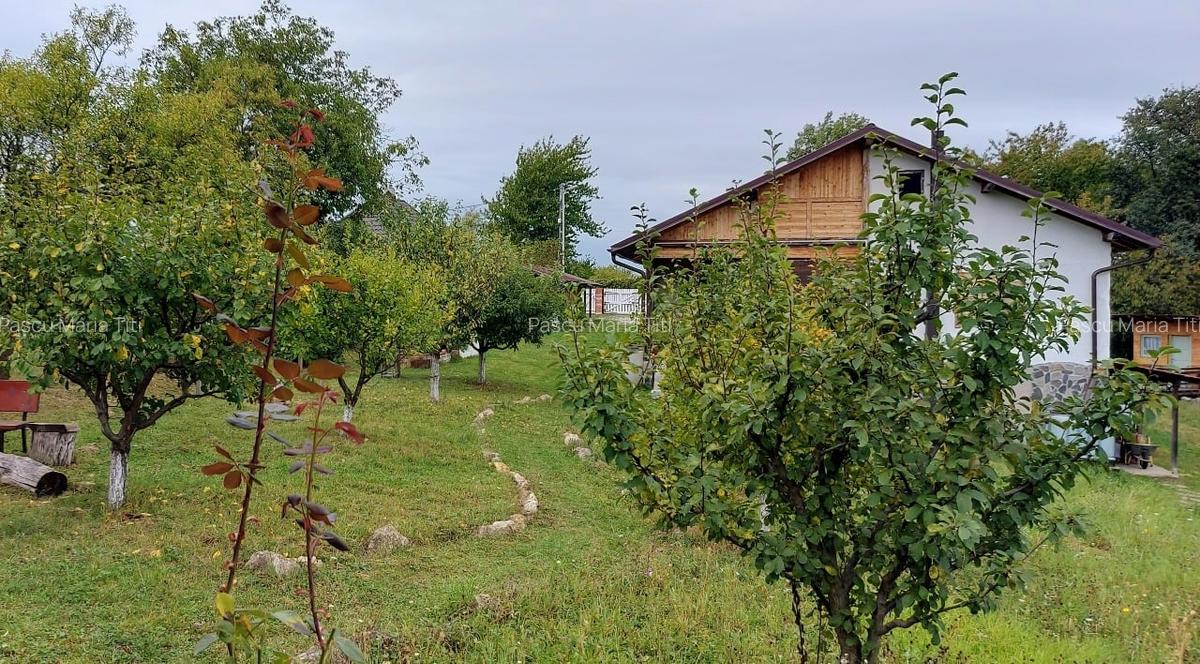 CASĂ (CĂRĂMIDĂ, TENCUIELI  ARGILĂ) - 3