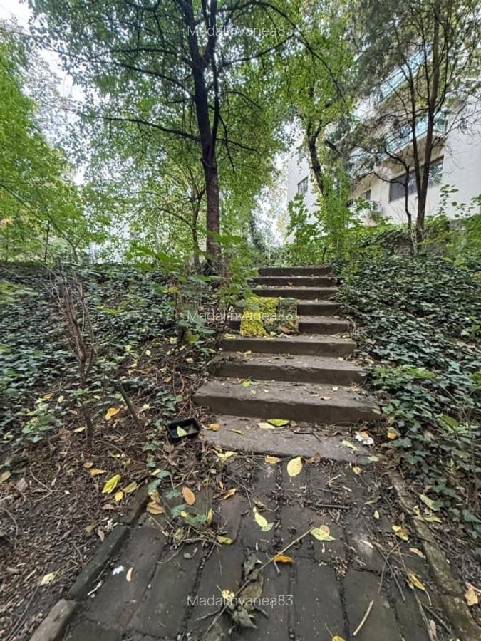 Studio Cismigiu cu acces la gradina comuna - 12