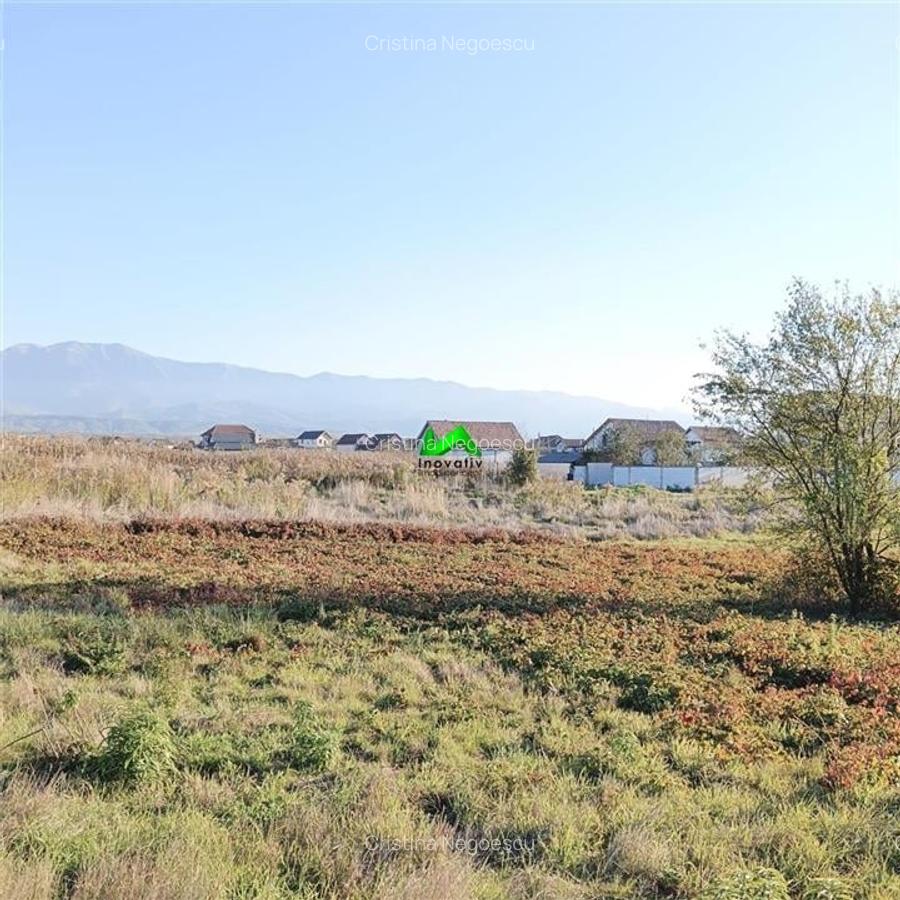 Teren de vanzare intravilan 1000mp Sibiu Avrig - 3