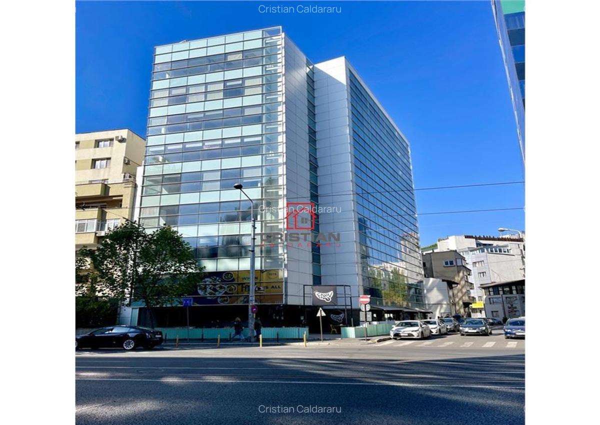 Birouri Piata Victoriei - Buzesti, Bucuresti - 2