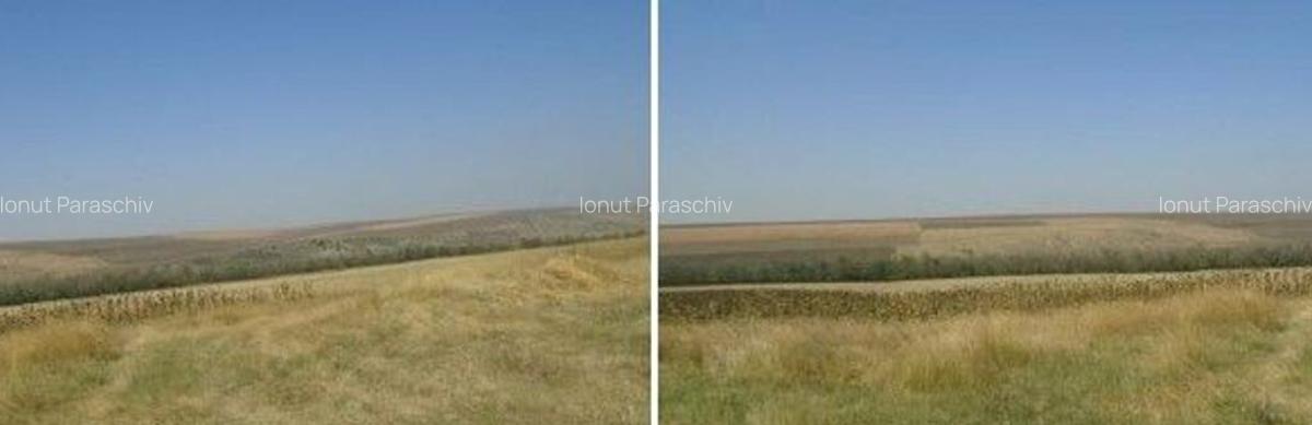 Teren Extravilan cota parte 1/4, Varlezi, ID: R2730256 - 11