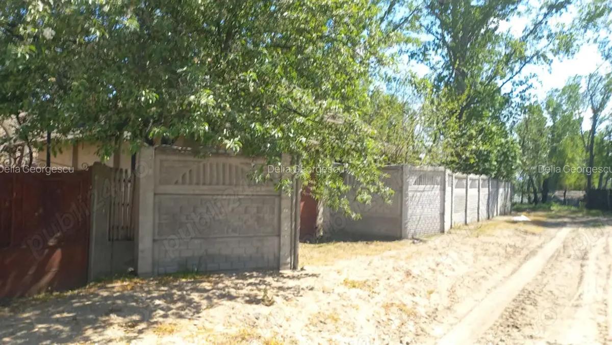 Vand casa+anexe+ garaj , ianca olt - 5