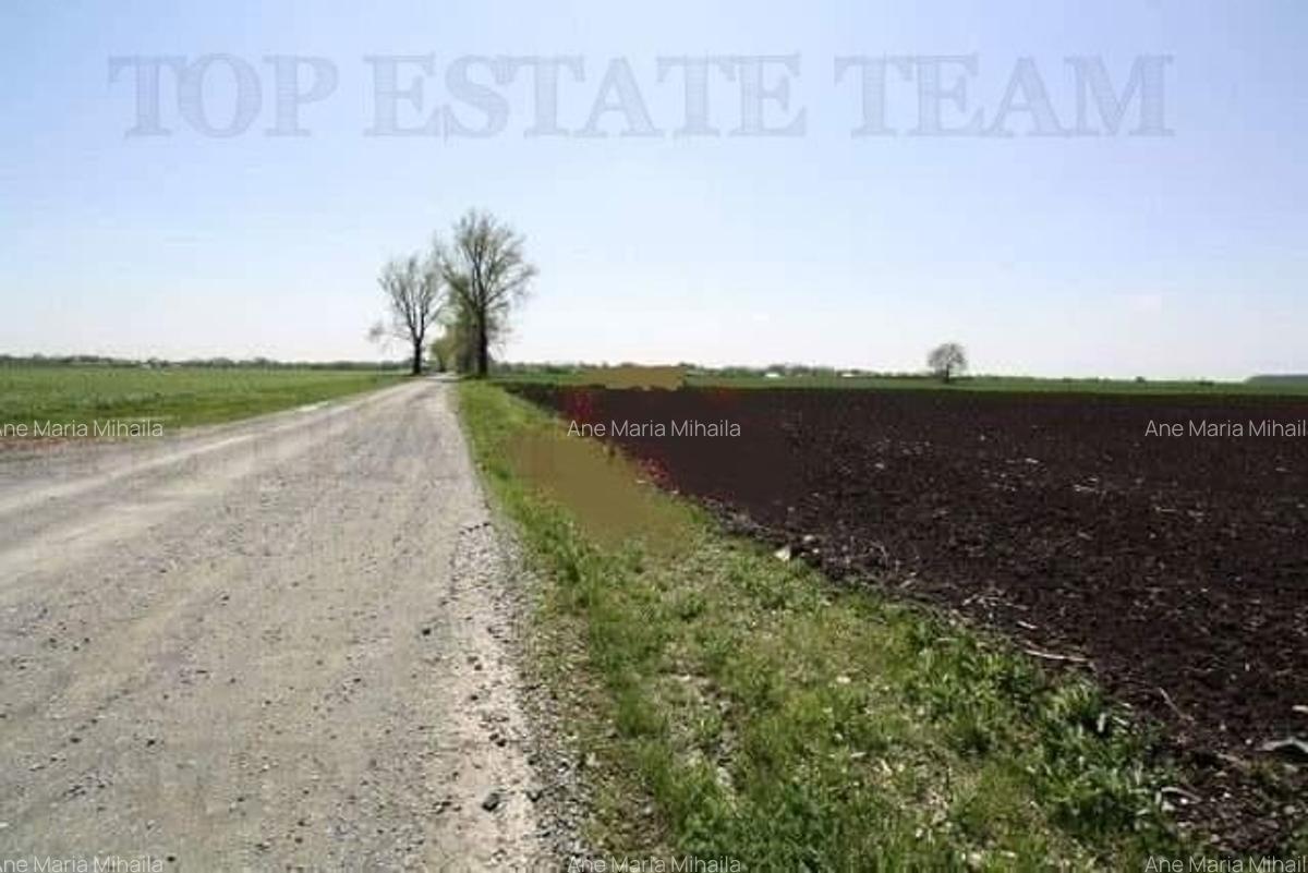 Teren  de vazare , 21000mp , Sinesti ,Ialomita, pret promo! - 3