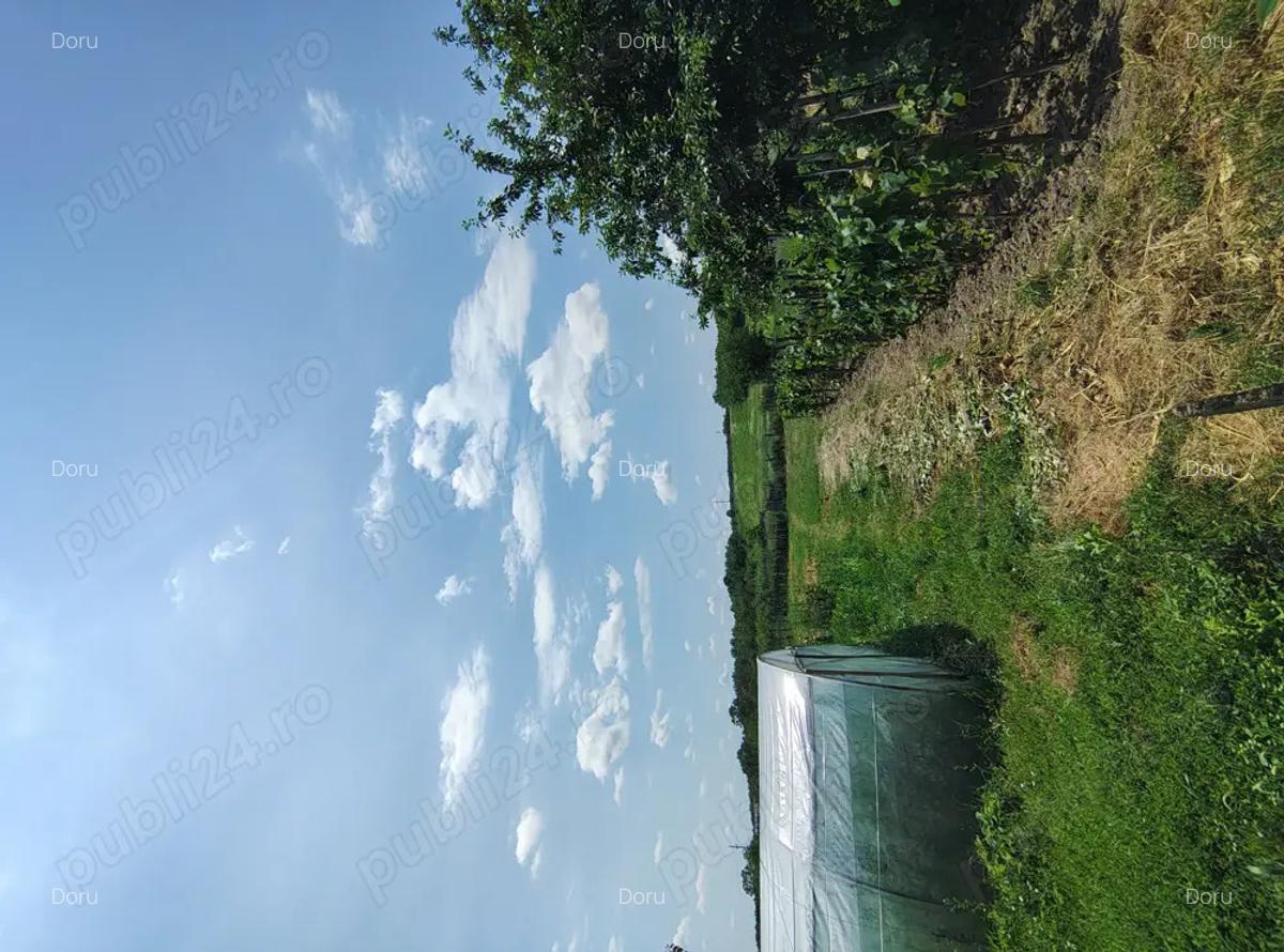 Gospodarie de vanzare Calui jud. Olt - 6