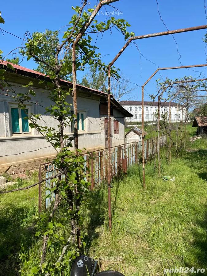 Casa cu teren 1764 mp - 7