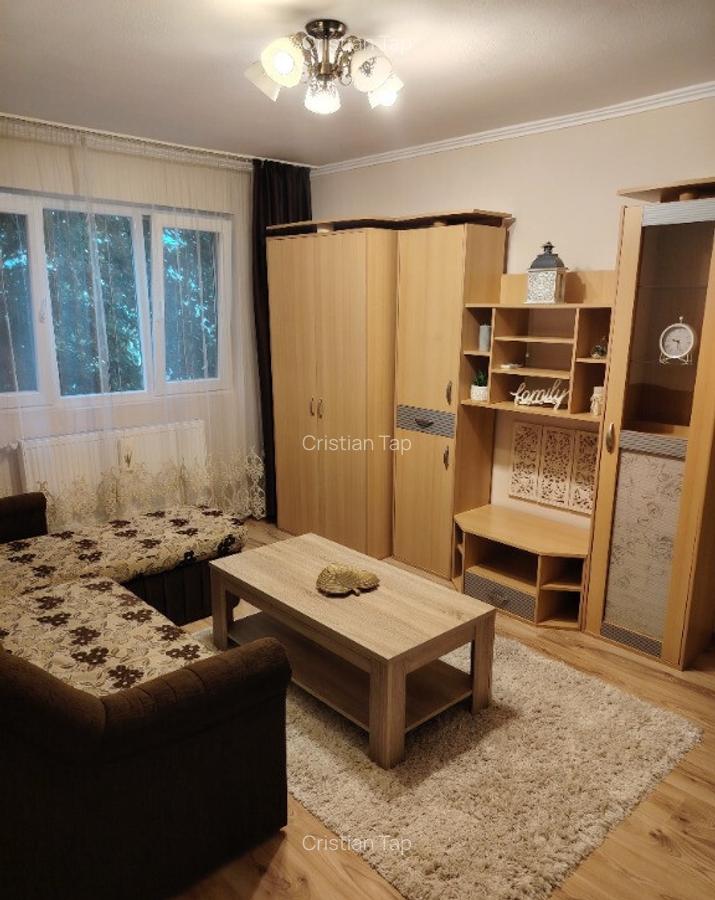 Apartament 2 camere Nufarul, tip X, etaj 2 - 4